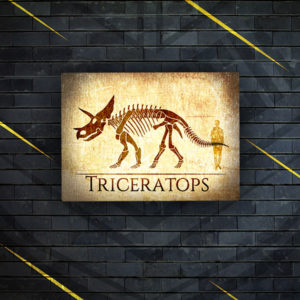 Triceratops